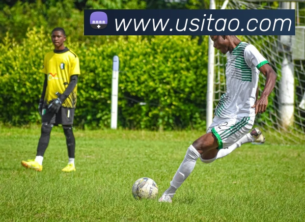 App Interface Preview